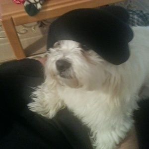 Meet your Posher, John